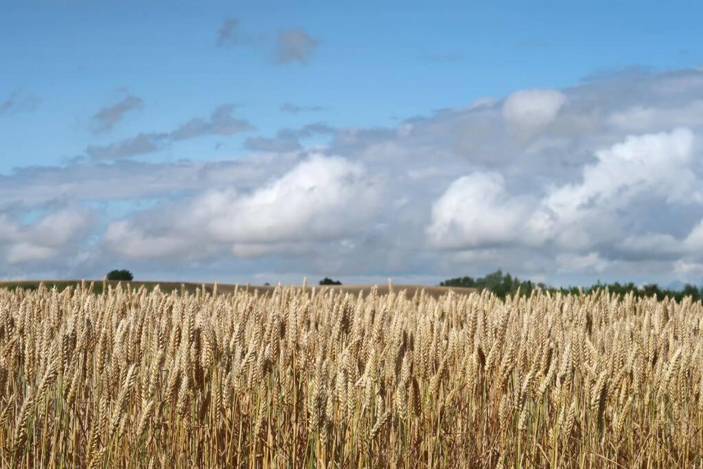 Cosy Guesthouse In The Countryside, With Breakfast Malmo Bagian luar foto
